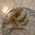 ラクラクダ's cooksnap of when they made 簡単！新玉ねぎのナムル.