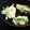 ★☆あかね★☆'s cooksnap of when they made 作ると簡単＆美味しい！小エビのかき揚げ.