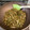 マコミコ's cooksnap of when they made 山ウドの皮のきんぴら.
