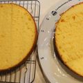 綾薙☆'s cooksnap of when they made 簡単♥しっとりふわふわスポンジケーキ.