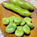 clover♡3's cooksnap of when they made そら豆の茹で方&冷凍保存.