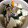 nessa1's cooksnap of when they made ほうれん草の豚汁(๑>◡<๑).
