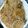 よぉぎゅると's cooksnap of when they made 簡単ヘルシー絶品！美味しい豚の生姜焼き.