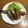 クックP8KGHH☆'s cooksnap of when they made うまっ！アスパラの豚肉巻き巻きカツ！.