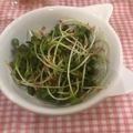IZU1216MI☆'s cooksnap of when they made あと一品に簡単！カイワレとかつお節の和物.