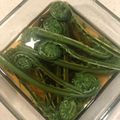なつみみずく's cooksnap of when they made こごみのお浸し.