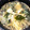 ♡mio1216♡'s cooksnap of when they made わかめと卵の中華スープ.