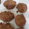 はるみいかあさん's cooksnap of when they made 糖質オフのお菓子♪おからブラウニーボール.