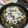 ジョングレ's cooksnap of when they made 赤ワインで煮込む鯖味噌カレー味.