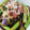 stella622's cooksnap of when they made なすとアスパラの揚げ浸し.