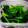 土方ともこ's cooksnap of when they made ほうれん草のゆで方(‾ー+‾).