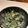 あっちゃーん＾—＾'s cooksnap of when they made スナップエンドウのツナひじきサラダ.