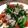 kaeru1gou's cooksnap of when they made 豚肉とルッコラのガーリック炒め.