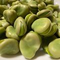 うちのテヘペロ's cooksnap of when they made そら豆茹で方。.