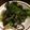 クック2DCB1D☆'s cooksnap of when they made ブロッコリーの塩昆布和え.