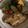 MFI's cooksnap of when they made オーブンで焼く イワシフライ.