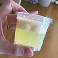 白坊ちゃん☆'s cooksnap of when they made ★ 簡単、私の二層ゼリー ★.