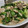 K_COOK's cooksnap of when they made レタスの外葉と豚肉のオイスターマヨ炒め.