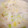 ポムポムポヨコ's cooksnap of when they made 白菜とウインナーのスープ生クリーム仕立て.