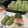 作って食べてハッピー's cooksnap of when they made 柿の葉寿司.