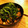 たここんぶ's cooksnap of when they made 簡単！なすと鶏のさっぱりべんりで酢煮.