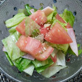 特殊な自由業's cooksnap of when they made 簡単♪＊トマトとレタスのサラダ＊.