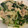 ポメちょん's cooksnap of when they made ほうれん草と豚こま炒め.