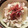 気まぐれご飯を作る人's cooksnap of when they made 早い、旨い、簡単！吉野家風の豚丼！.