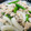 ゆめれん's cooksnap of when they made スナップエンドウと豚肉のウマ塩炒め★.