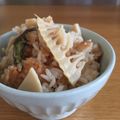 queers's cooksnap of when they made タケノコとワラビの春の炊き込みごはん.