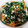 spica1206's cooksnap of when they made 簡単おいしい！ほうれん草の白和え.