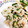 NEKOほっぺ's cooksnap of when they made 【作り置き】胡瓜とえのき茸のツナごま和え.