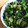 いちごスロータクシー's cooksnap of when they made 小松菜とかつお節の炒め物♪.