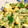 クックHJB3B6☆'s cooksnap of when they made スナップエンドウと茹で卵のサラダ.