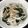 めがねりんご's cooksnap of when they made 新玉わかめサラダ.