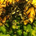 レディー・ババア's cooksnap of when they made 簡単そぼろ丼.