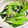 Kotetsu00's cooksnap of when they made 簡単♡小松菜のナムル♡.