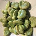 fujifuri's cooksnap of when they made そら豆(ファーベ)美味しい下処理 茹で方.