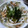 ユーロン's cooksnap of when they made もやしと納豆の和え物.