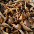 モジャ時々ツルツル's cooksnap of when they made しめじのレンジ蒸しで、作りおきおかずを～.