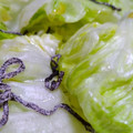 yk4c's cooksnap of when they made 簡単副菜☆レタスの塩こんぶとごま油和え.