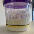♪しゃぼんだま♪'s cooksnap of when they made 天然酵母液からおこす天然酵母元種(中種).