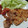 クックVOY1Q3☆'s cooksnap of when they made これに決まり♡うちのしょうが焼き.