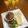 クックHST1BC☆'s cooksnap of when they made ワインdeカレー.