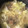 クックOZD7Y6☆'s cooksnap of when they made つまみになる☆あさりの酒蒸しお味噌汁.