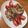 どる嫁's cooksnap of when they made 鶏もも肉のマヨねぎ焼き.