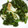 ♪rururu♪'s cooksnap of when they made ほうれん草とカニカマの炒め物.
