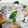 クックHX2GFD☆'s cooksnap of when they made 蒸し野菜がおかずに！？絶品タレ☆.