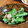低カロ探検隊's cooksnap of when they made 超簡単！絹さやとツナの炒め物.