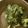 クックO7UFZH☆'s cooksnap of when they made しらすとブロッコリーのホットサラダ.